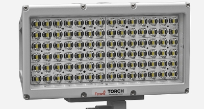 Torch Pole Light